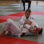 Juji-Gatame