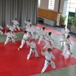 Kata Lehrgang mit Udo Boppré