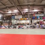 Frauen-Bundesliga Inside: Die Fans