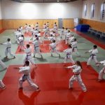 Gemeinsames Karlsruher Dojotraining stärkt Region und Zusammenhalt