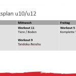 Judo Trainingsplan u10/u12 und u15/u18