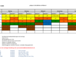 Corona Einsatzplan