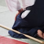 Aikido Stock- und Schwert Lehrgang