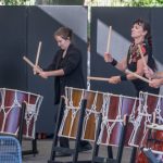 Japanfest im Stadtgarten/Zoo